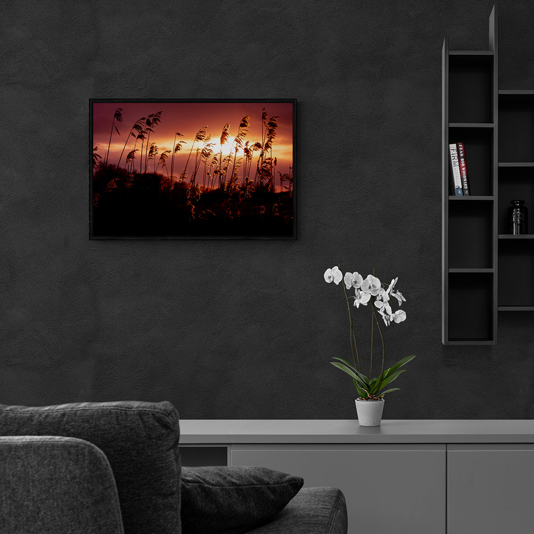 Golden Glow | Framed Photographic Print