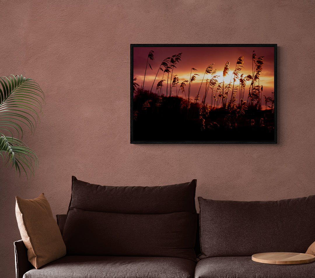 Golden Glow | Framed Photographic Print