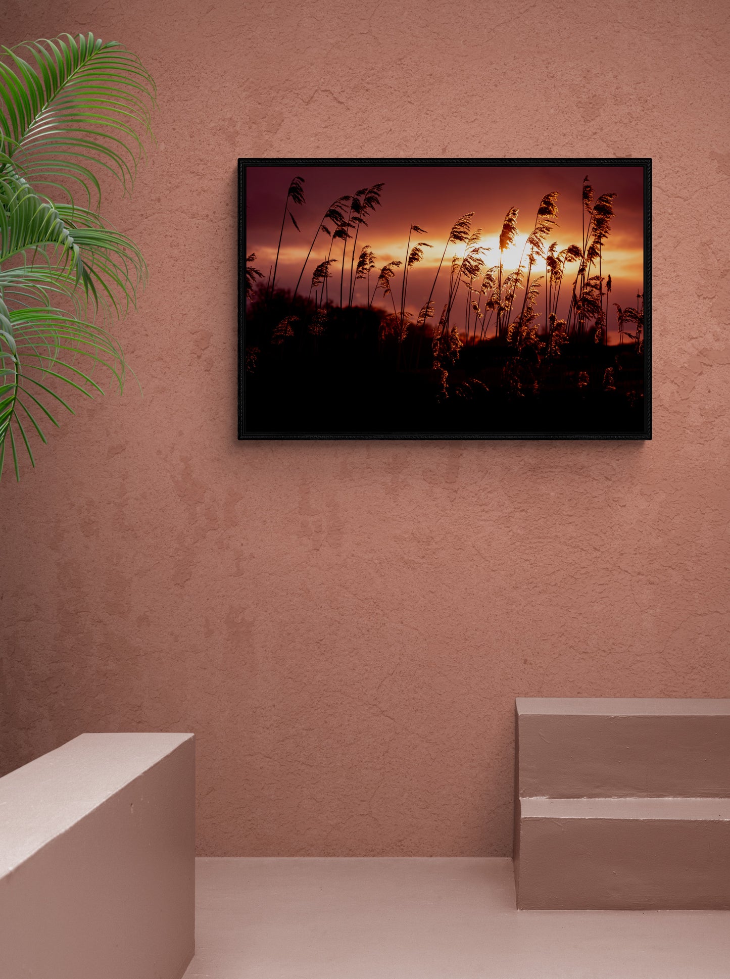 Golden Glow | Framed Photographic Print