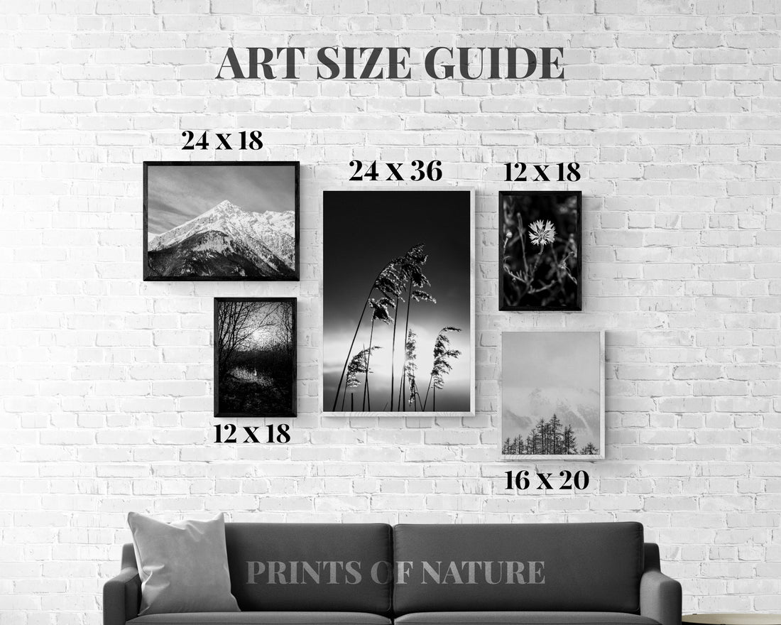 A size guide for wall art