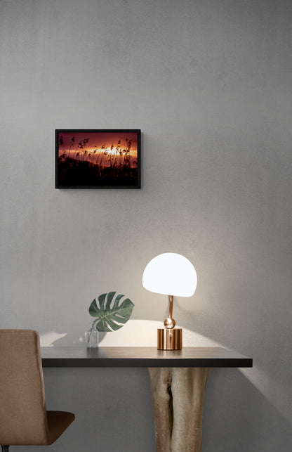 Golden Glow | Framed Photographic Print
