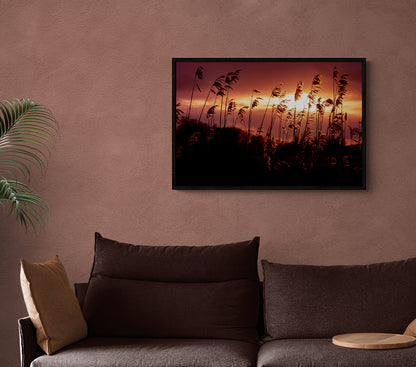 Golden Glow | Framed Photographic Print