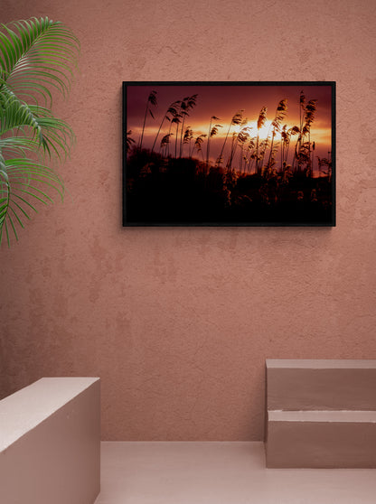 Golden Glow | Framed Photographic Print