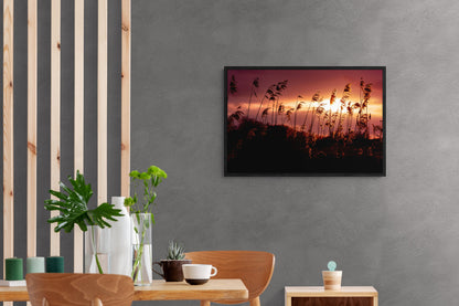 Golden Glow | Framed Photographic Print